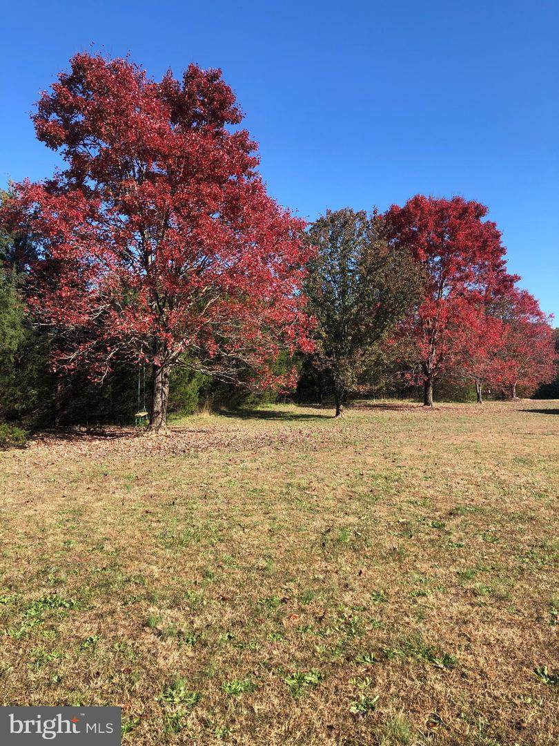 3907 Braxton Street - Photo 1
