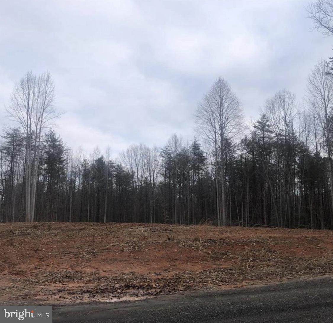 9079 Brandon Ray Lane - Photo 1