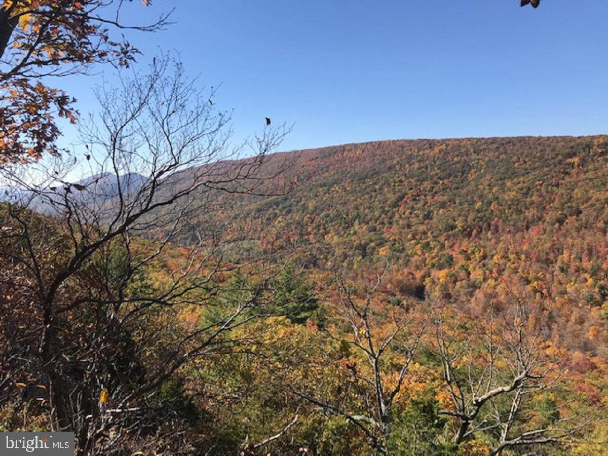 Off Rt 28/3 - Photo 1