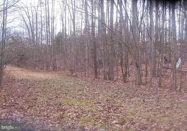 001 Dusty Lane - Photo 1