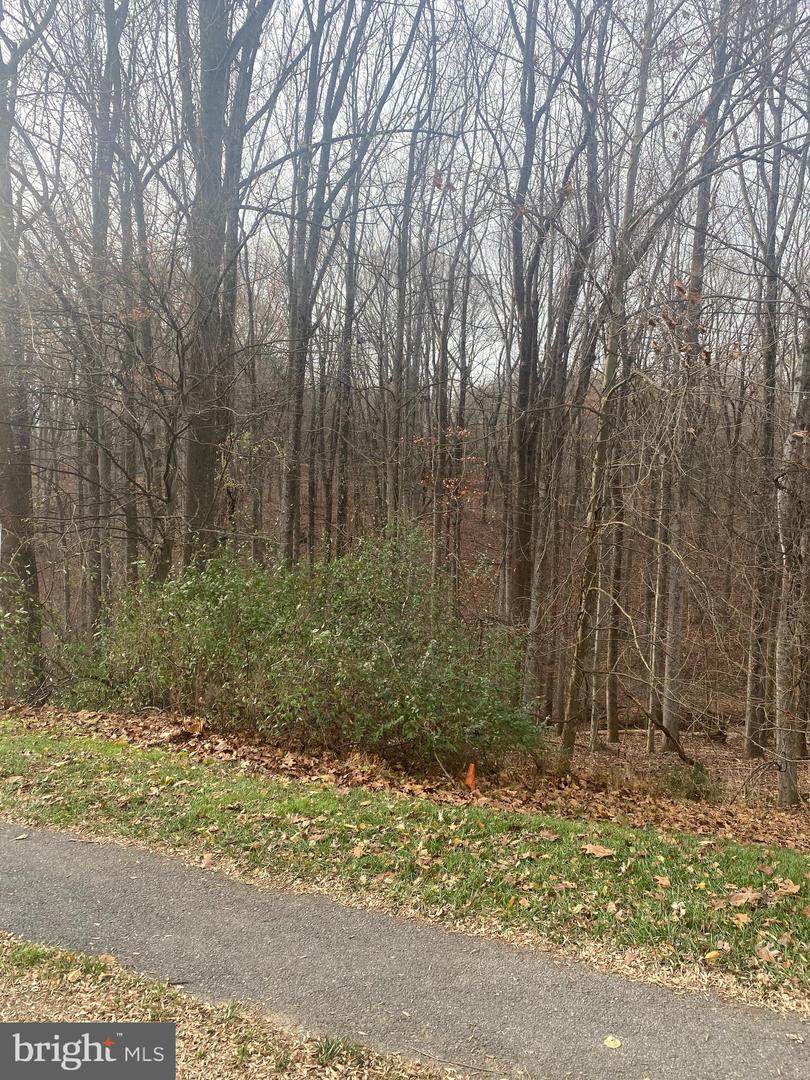 6714 Woodridge Road - Photo 1