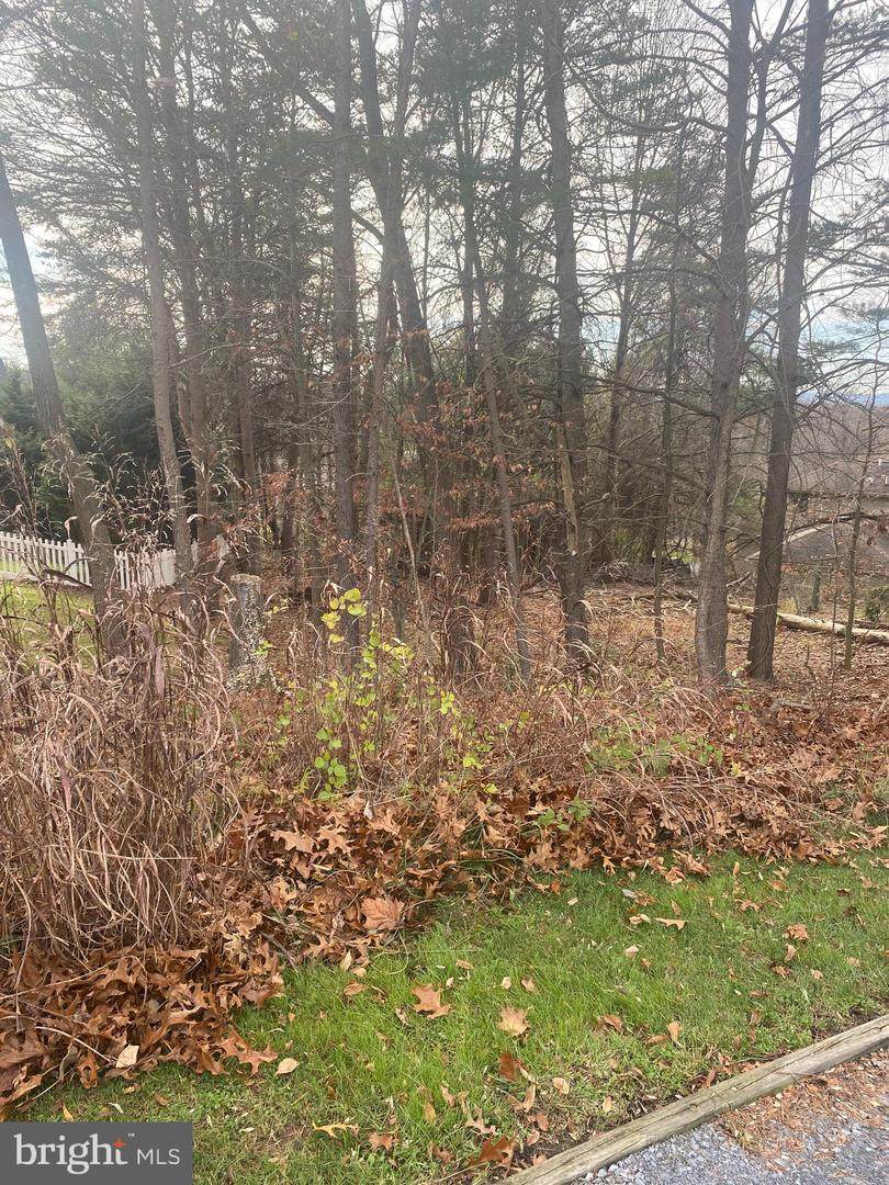 6735 Woodcrest Ct - Photo 1