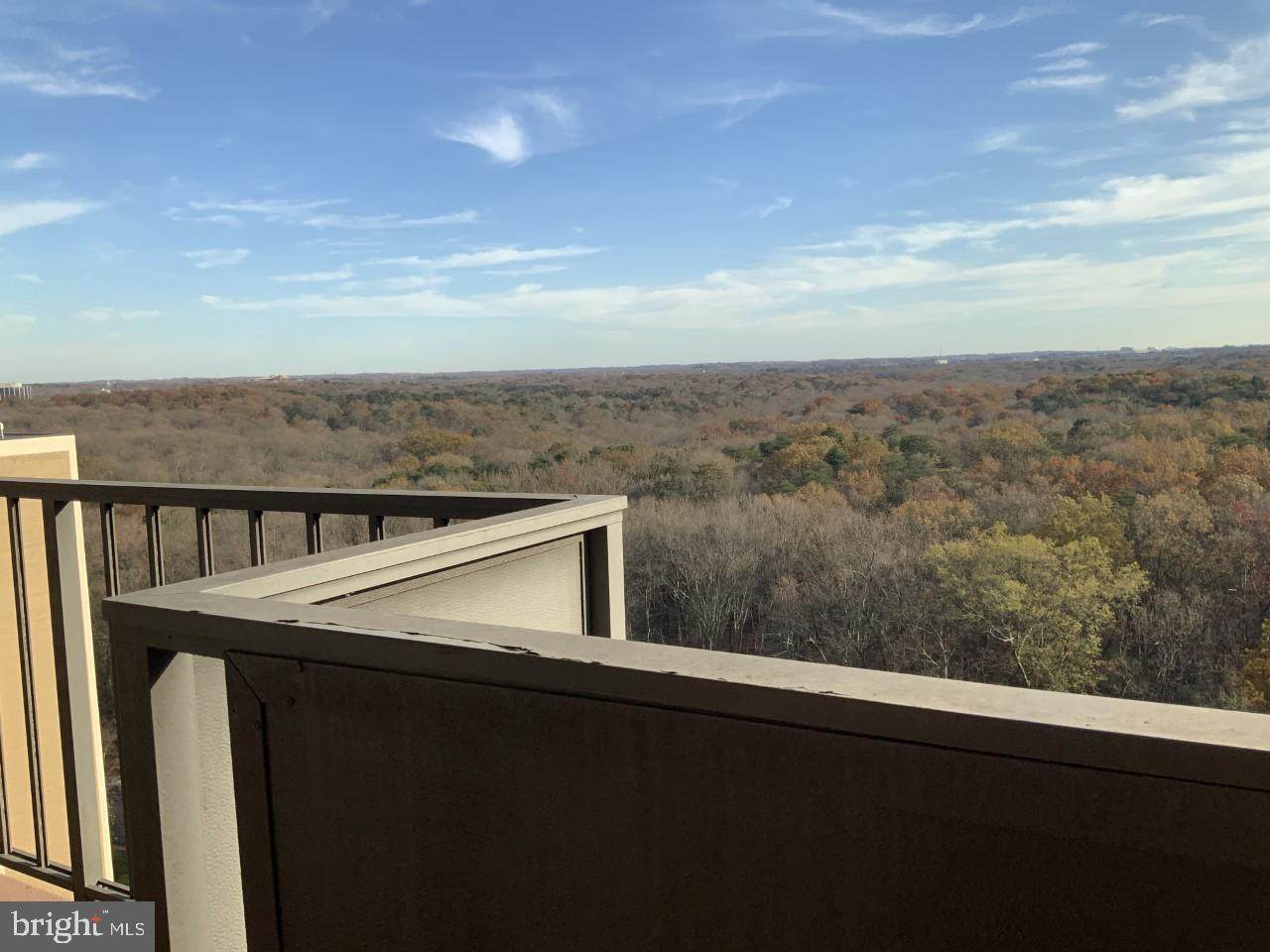 6100 Westchester Park Drive - Photo 1