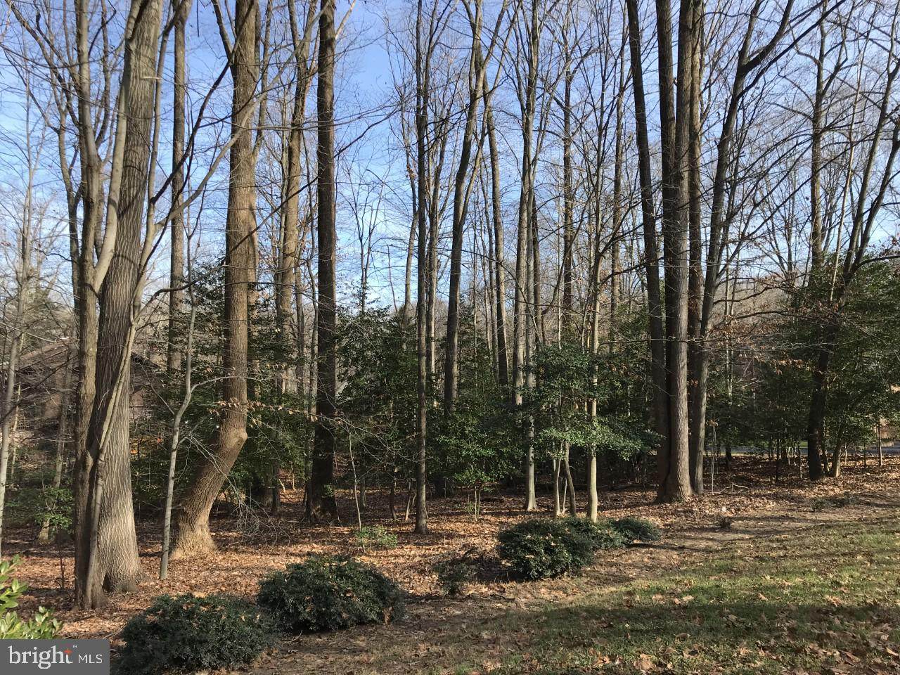 1512 Wild Cranberry Drive - Photo 1