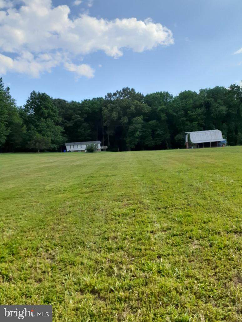 2235 Thumper Place - Photo 1