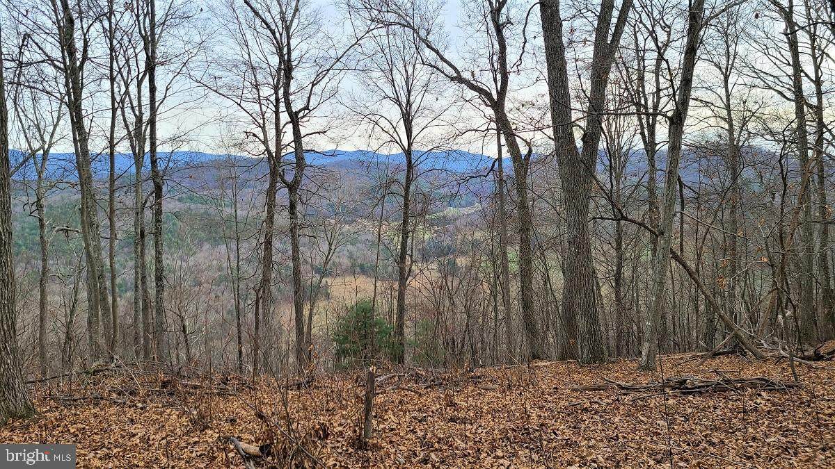 Lot #23, Stone Fly Drive - Photo 1
