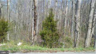 10518 Catharpin Road - Photo 1