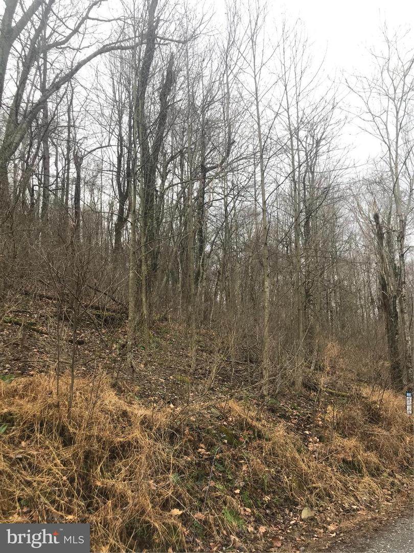 OFF Cliff Heights Road - Photo 1