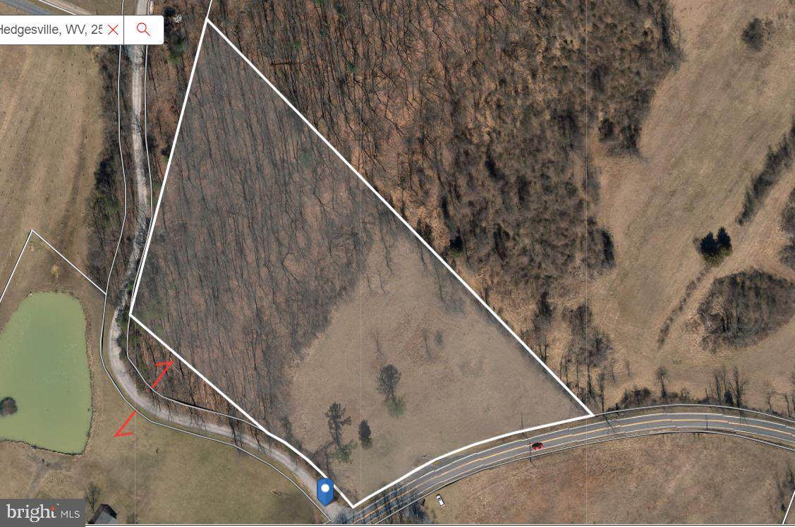 Back Creek Valley Road - Photo 1