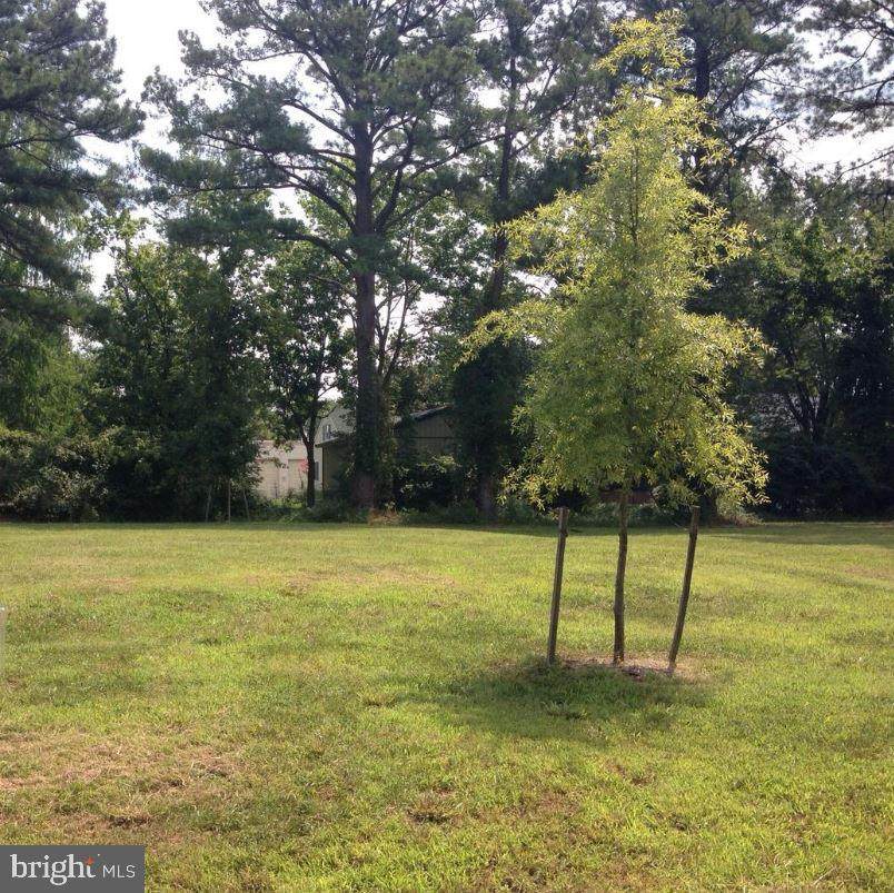 107 Chesapeake Avenue - Photo 1