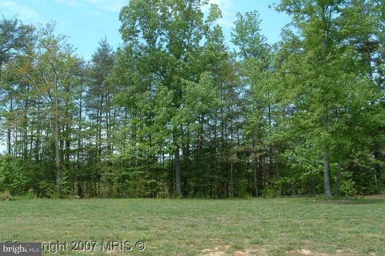 9707 Thorncrest Drive - Photo 1