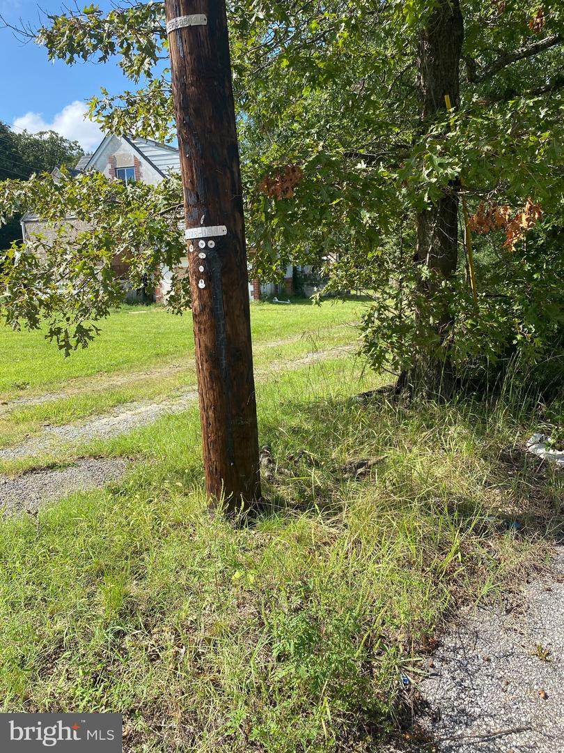 1533 Rollins - Photo 1