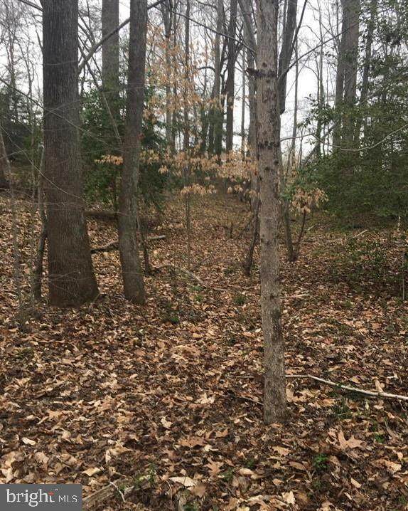 380 Mason Road - Photo 1