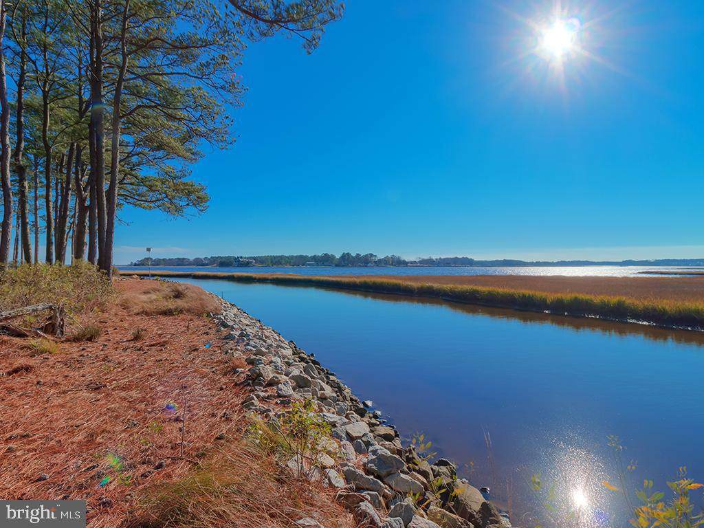 206 Breezy Creek Court - Photo 1