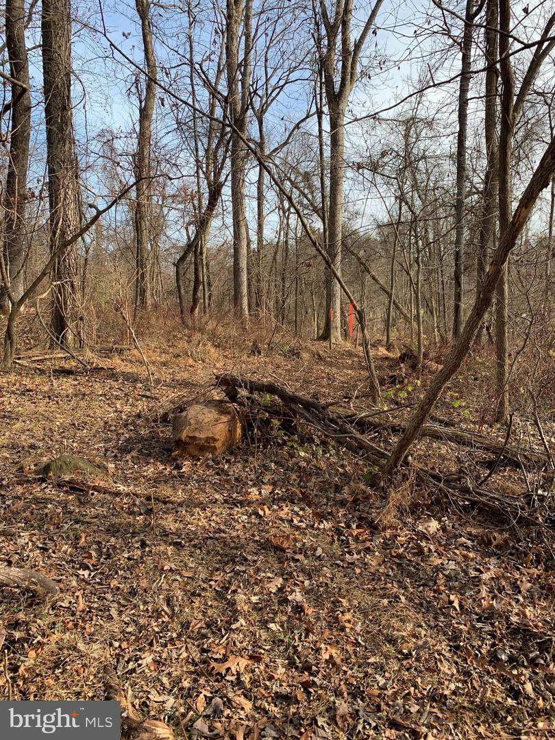 18011 Canby Road - Photo 1