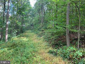 0 Smoketown Road - Photo 1
