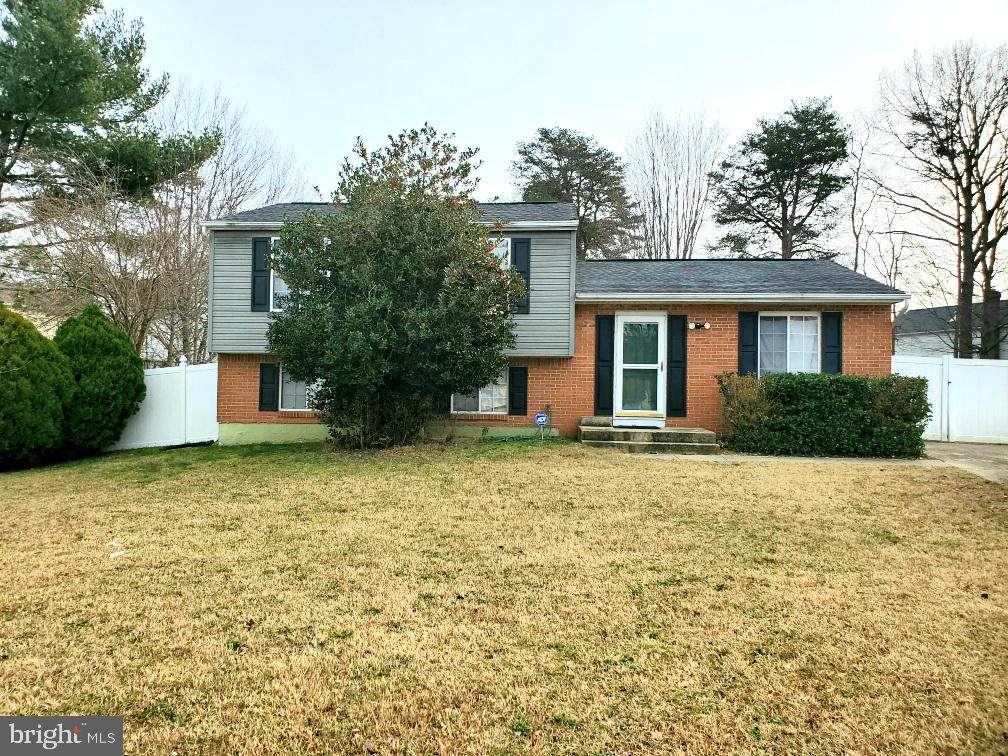 8810 Bolero Court - Photo 1