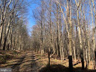 Bismarck Road/Lead Road - Photo 1