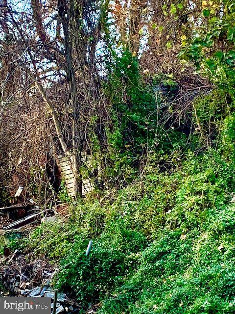 6350 Bayside Road - Photo 1