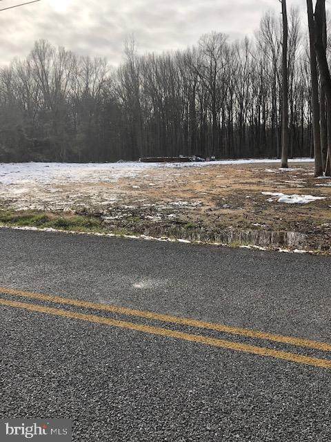 391 Pierson Road - Photo 1