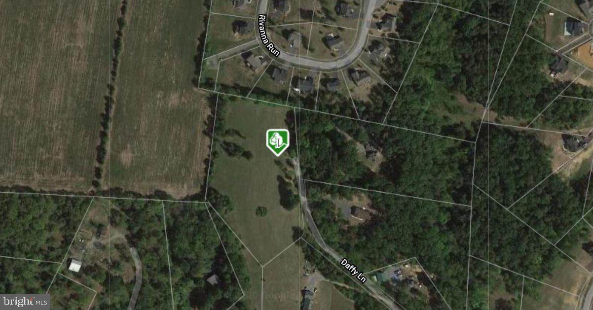 230 Daffy Lane / Off Crawford Quarry Rd. - Photo 1