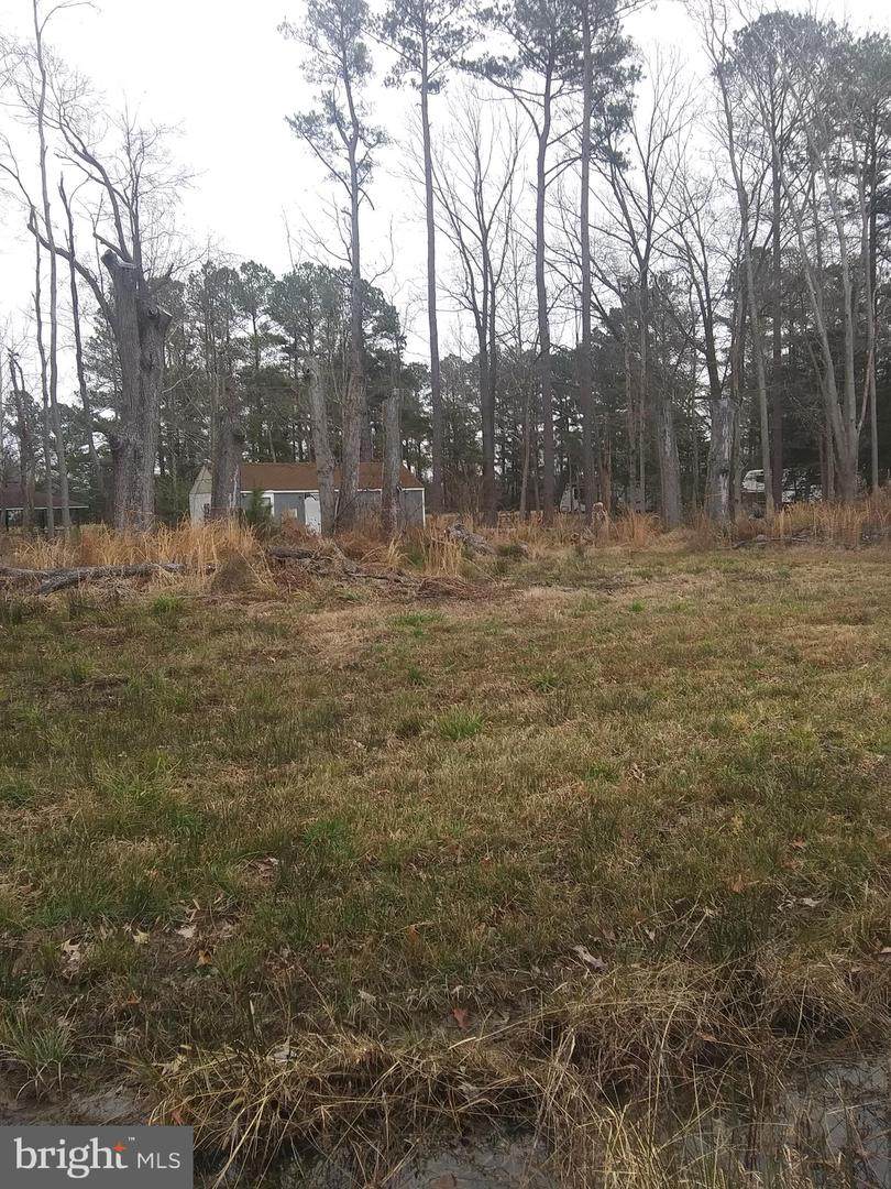 Lots 3, 4 & 5 Mattox Ave - Photo 1