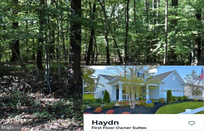 3702 Mayo Road - Photo 1