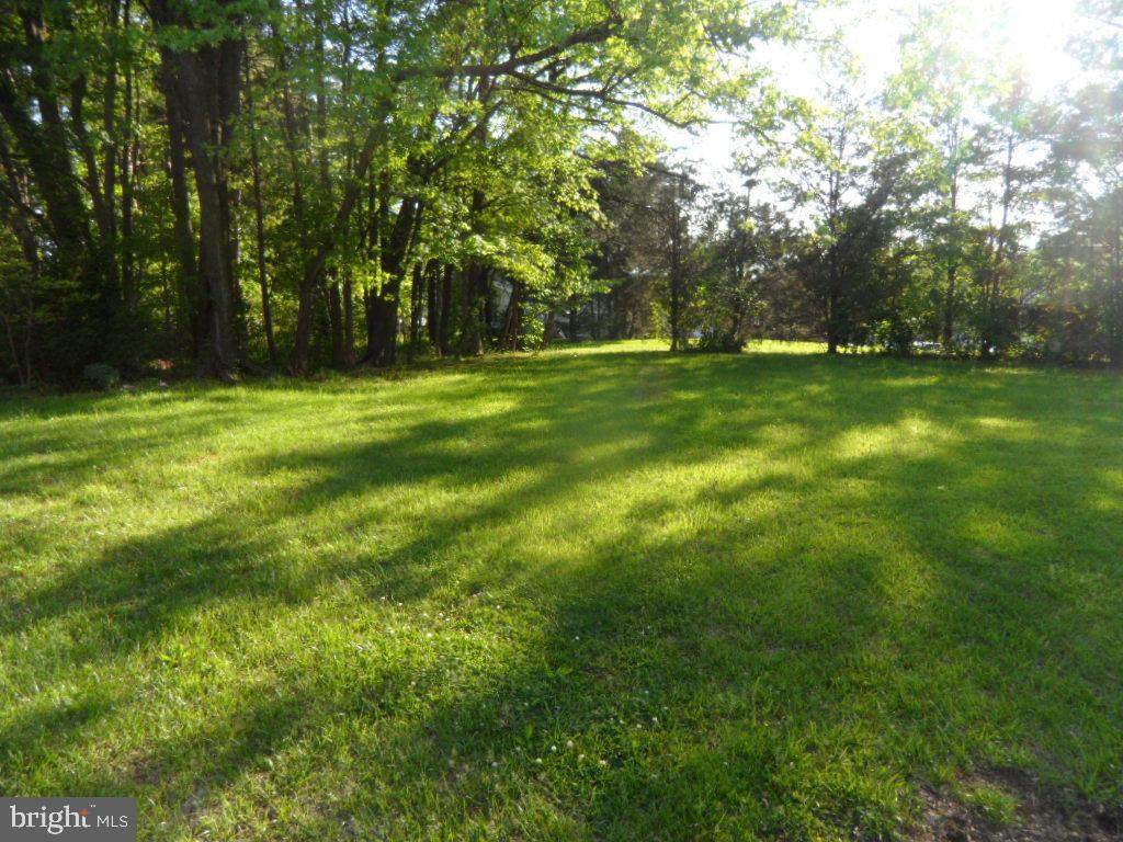 11405 Pitsea Drive - Photo 1