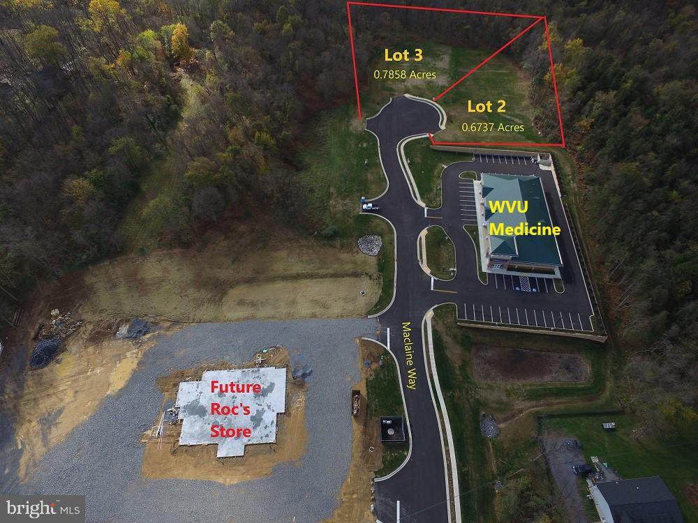 Lot 3 Martinsburg Pike - Photo 1