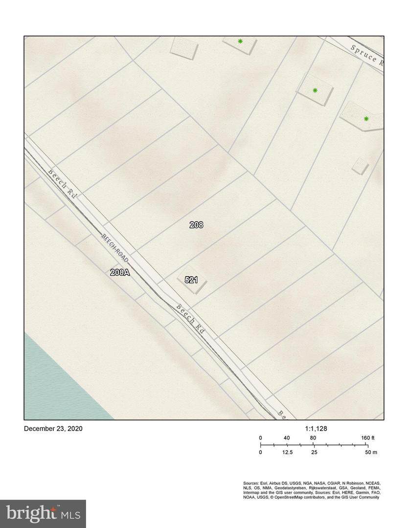 Lot 208 & Lot 208A Beech Road - Photo 1