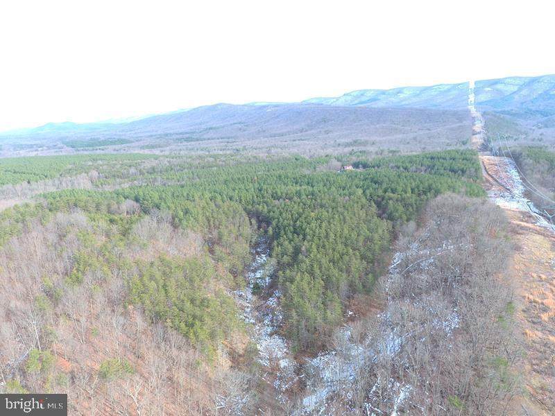 80 Trough Road - Photo 1