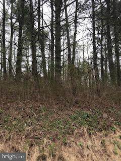 0 Bowers Mill Road - Photo 1