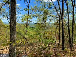 0 Firetower Trail - Photo 1