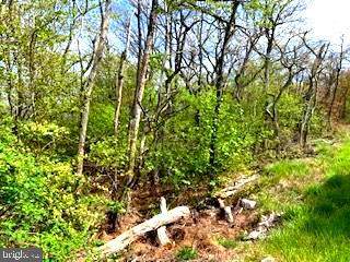 0 Timber Ridge Trail - Photo 1