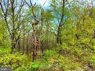 0 Timber Ridge Trail - Photo 1