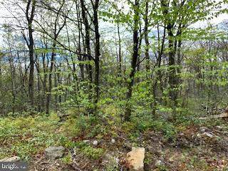 0 Mountain Falls Trail - Photo 1