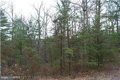 LOT 200 Racoon Trail - Photo 1