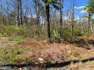 0 Goldwood Trail - Photo 1