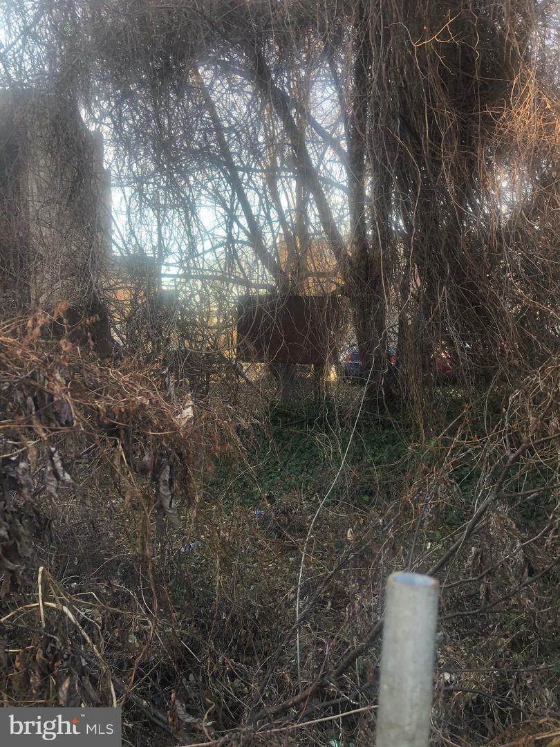 2216 Orkney Street - Photo 1