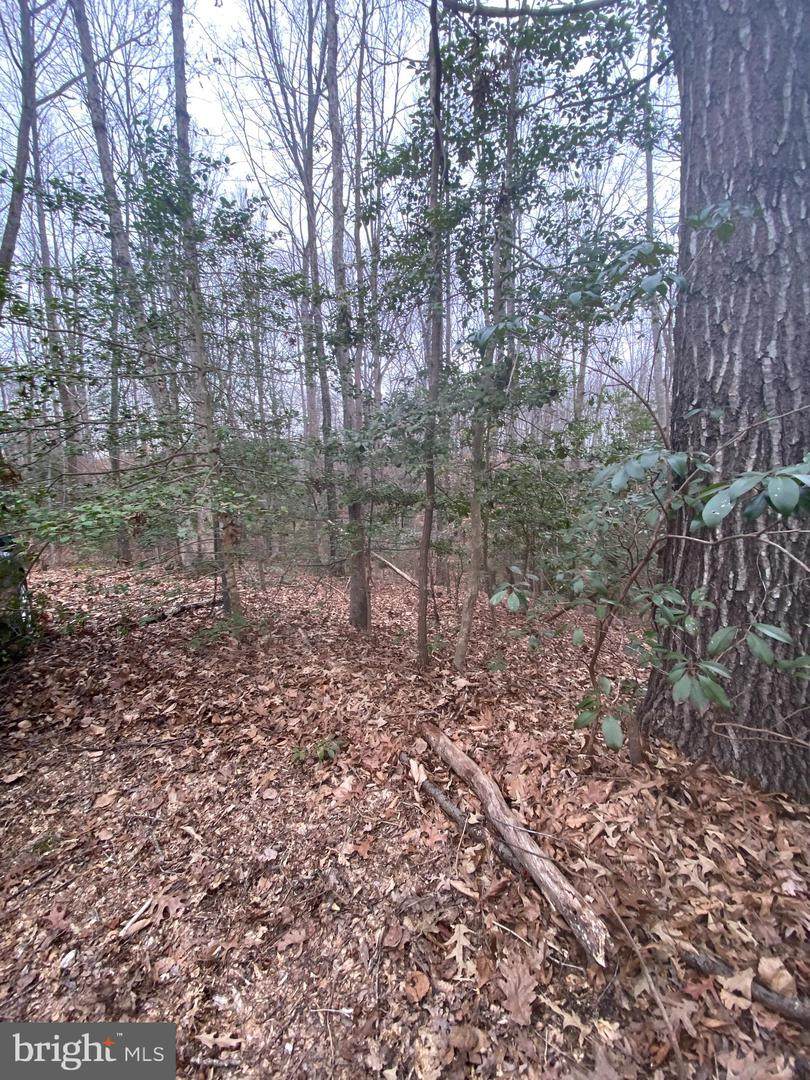 16661 Bald Eagle School Road - Photo 1