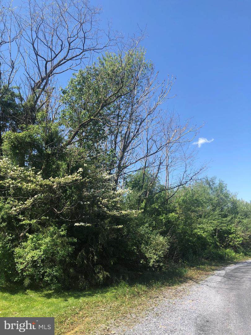 Lot 7 Massanutten Dr. - Photo 1