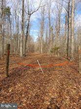 Old Plank Road - Photo 1