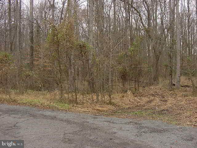 Lot 76 Jasmine Trail - Photo 1