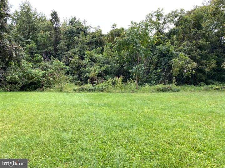 0 Bethel Road - Photo 1