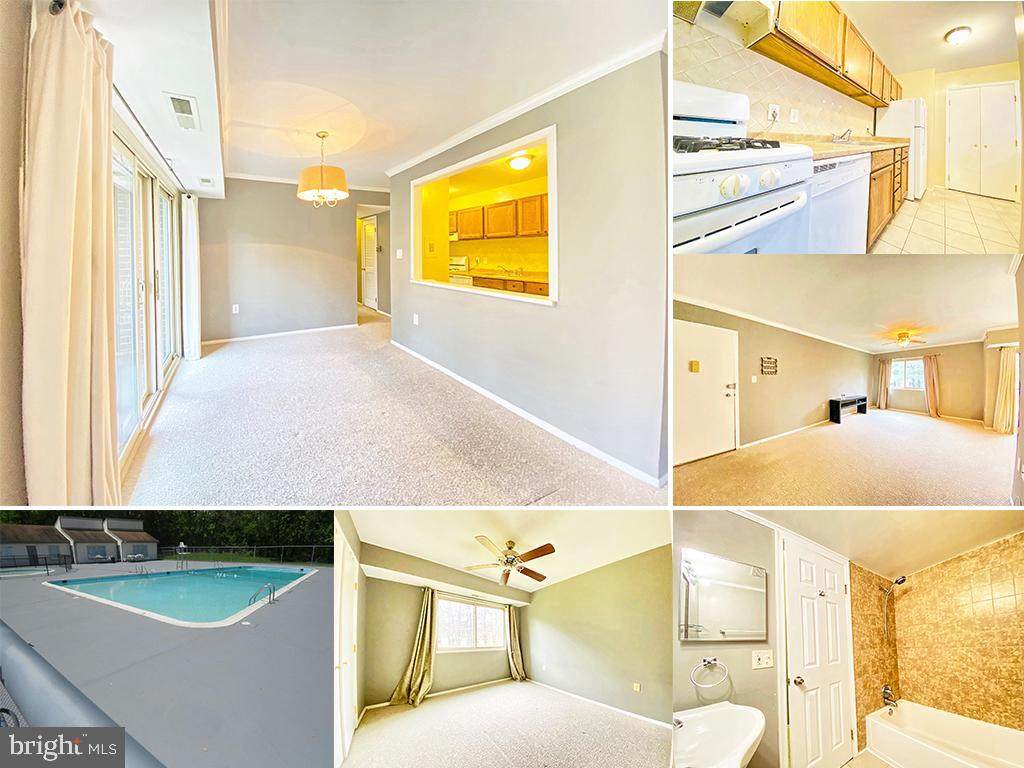1604 Renate Drive - Photo 1
