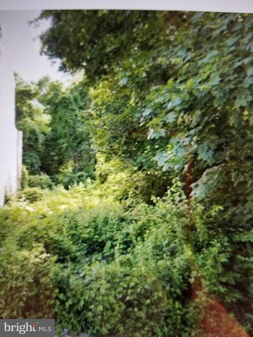 4952 Rubicam Street - Photo 1
