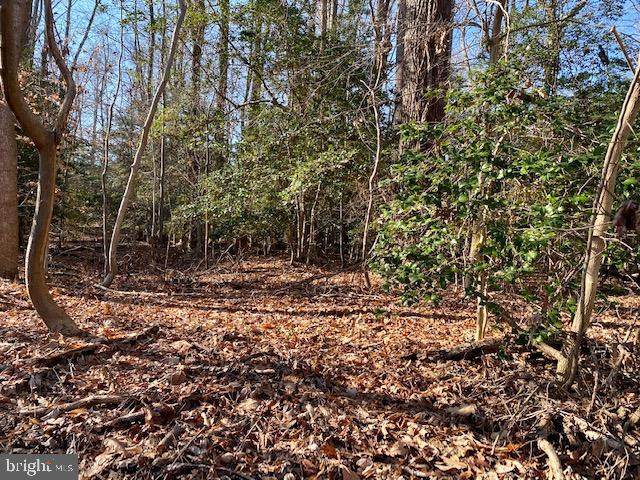 LOT# 156 North Independence Drive - Photo 1