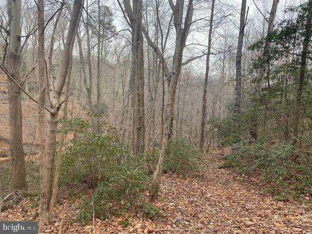 LOT #60, 61 AND 62 Federalist Way - Photo 1