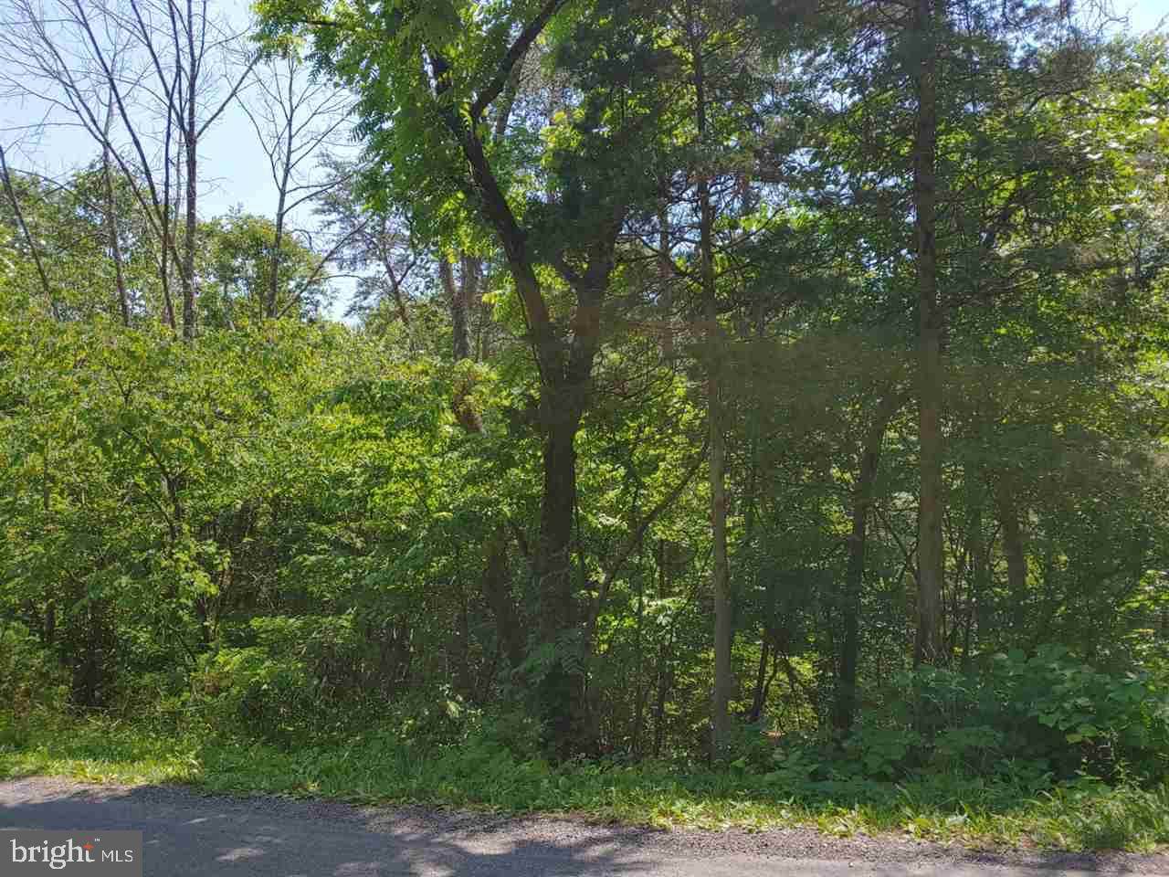 Fort Valley Road - Photo 1