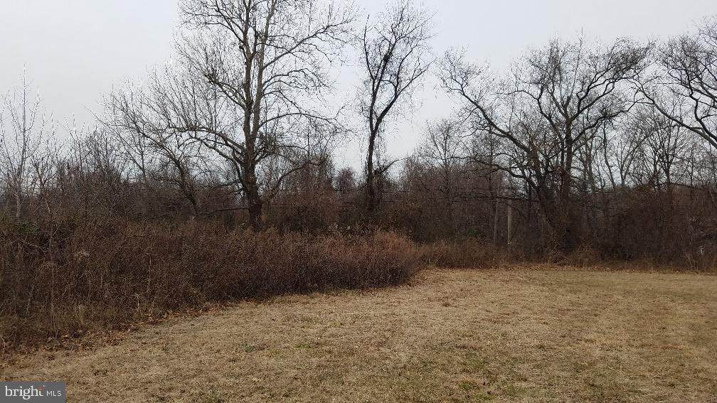 158 Blackwood Barnsboro Road - Photo 1